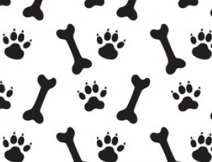 21317826-traces-of-dog-and-bones-black-and-white-vector-pattern