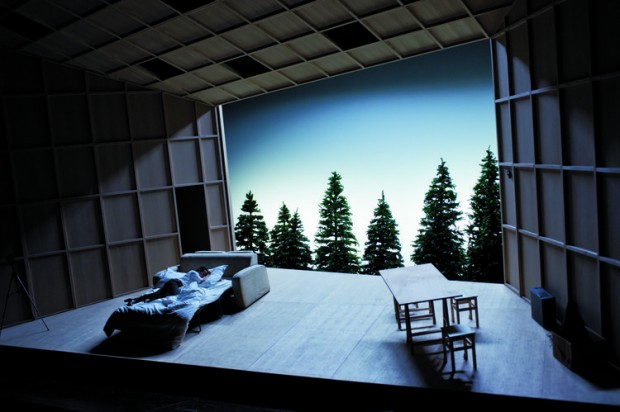 611435-theatre-de-la-colline-2013-2014-le-canard-sauvage-de-henrik-ibsen-mes-et-sceno-stephane-braunschweig