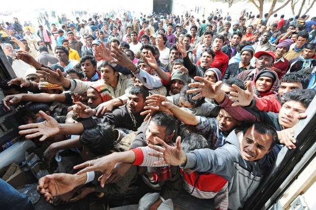 migrants